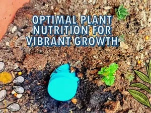 Nutrición Óptima para tus Plantas