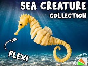Sea Creature - Seahorse