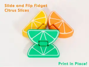 Citrus Slide and Flip Fidget - Print in Place!