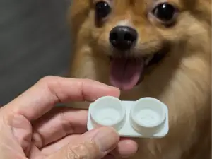 Miniature dog bowl, dog house, cat house