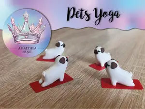 Pets yoga