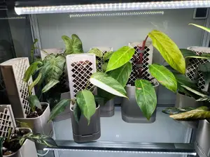模块化水苔柱花盆