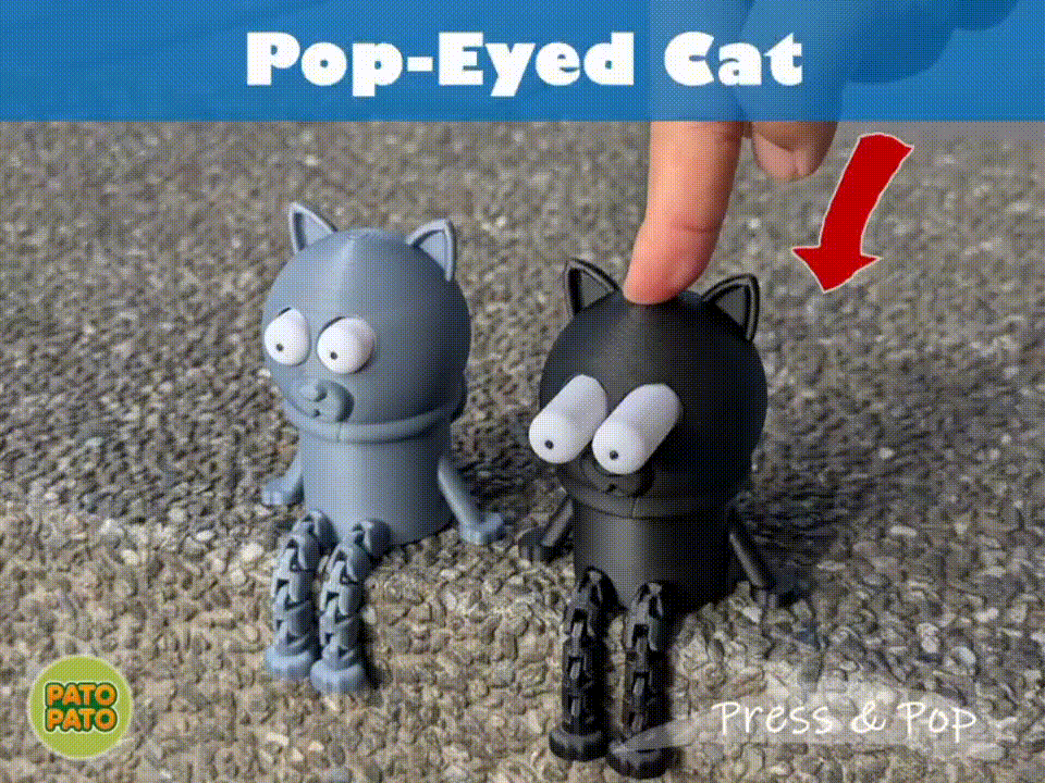 Pop-eyed cat