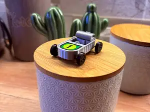 SARDINA IN FUGA rc