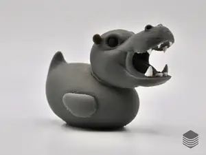 Hippo Duck