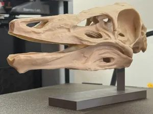 Ornithomimus Skull Fossil Replica (lifesize)