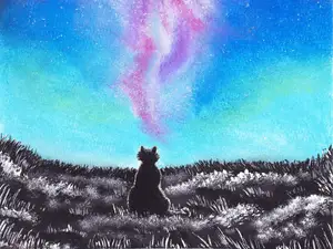 Katze schaut zu den Sternen