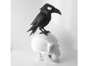 Stylized Raven on Skull