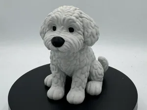 Cute Mini Golden Doodle Dog