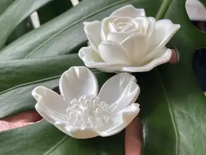 六种花花模型 白玉兰玫瑰山茶花梅花樱花桃花