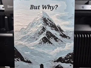 But Why – HueForge Pinguin