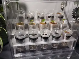Compact Corm Propagation Rack – 15 Cup
