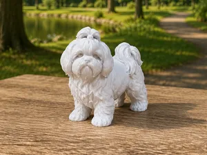 Shih Tzu - Dog - Animal