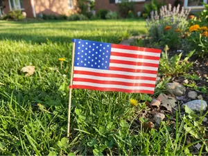 American Flag (Wavy and Flat)