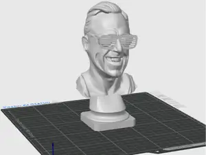 General TOche Buste