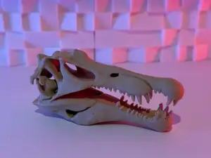 Spinosaurus Skull (5-20 Grams)