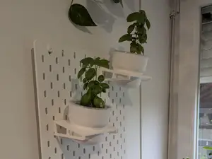 Ikea skadis plant pot holder