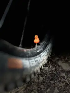 Duck Presta & Schrader Valve Cap
