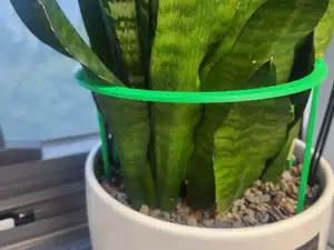 Plant vertical support