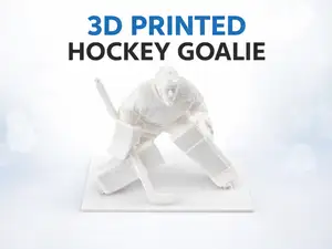 Hockey Goalie