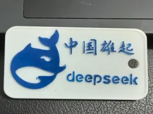 deepseek挂牌