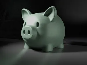 Minimalist Cute Piggy Bank | Easy, minimal suport