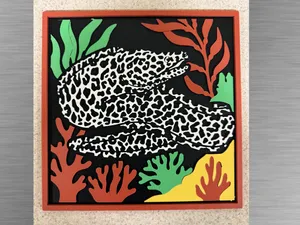 Moray Eel In Kelp