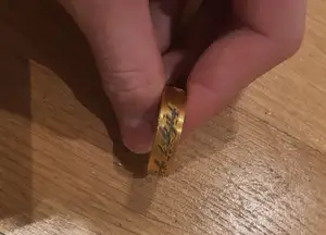 THE ONE RING