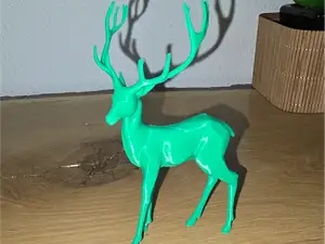 Deer