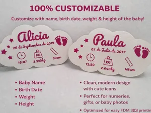 100% Customizable Baby Birth Plaque
