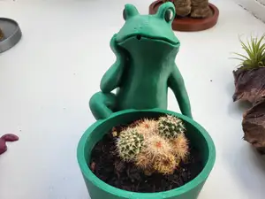 Frog Planter pot