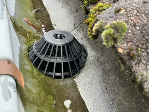 Rain Gutter Sieve / Regenrinnensieb