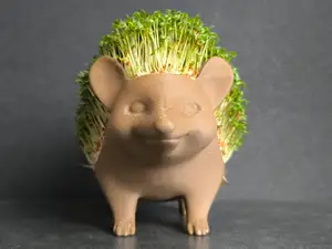 Cress Hedgehog