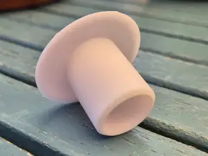 Plug
