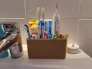 Toothbrush Organizer
