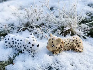 mini flexi leopard