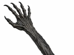 back scratcher