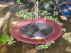 Abreuvoir à insectes pour fontaine flottante 