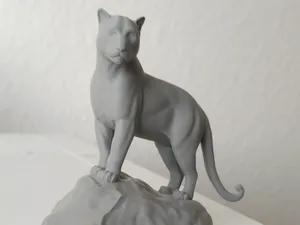 Majestic Black Panther on Rock – Highly Detailed