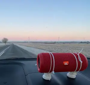 Speaker mount