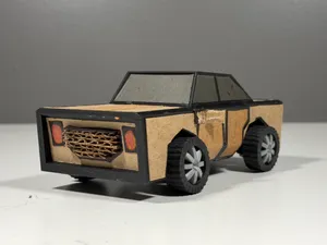 The Carboard
