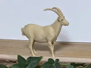 Capricorn