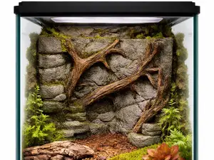 3D Terrarium Eck-Rückwand mit Felsen & Wurzeln