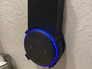 Alexa Echo Outlet Mount