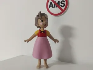 Heidi Sin AMS