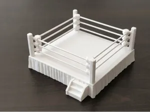 Boxing Ring