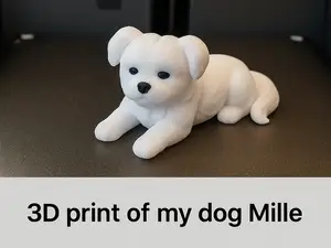 Cute Maltese Dog 3D Model Inspired by My Dog Mille