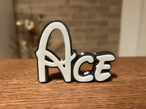 Ace Name Disney Sign