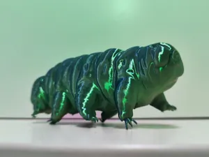 Highly Detailed Tardigrade – Water Bear Model