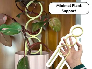 Minimalist Plant Support Trellis